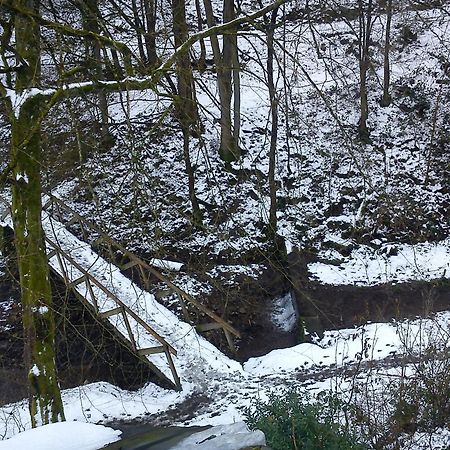 Arduena - Het Ardennetje Villa Blaimont Dış mekan fotoğraf