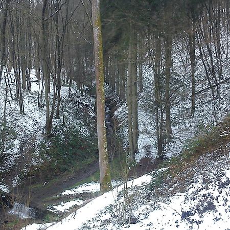 Arduena - Het Ardennetje Villa Blaimont Dış mekan fotoğraf