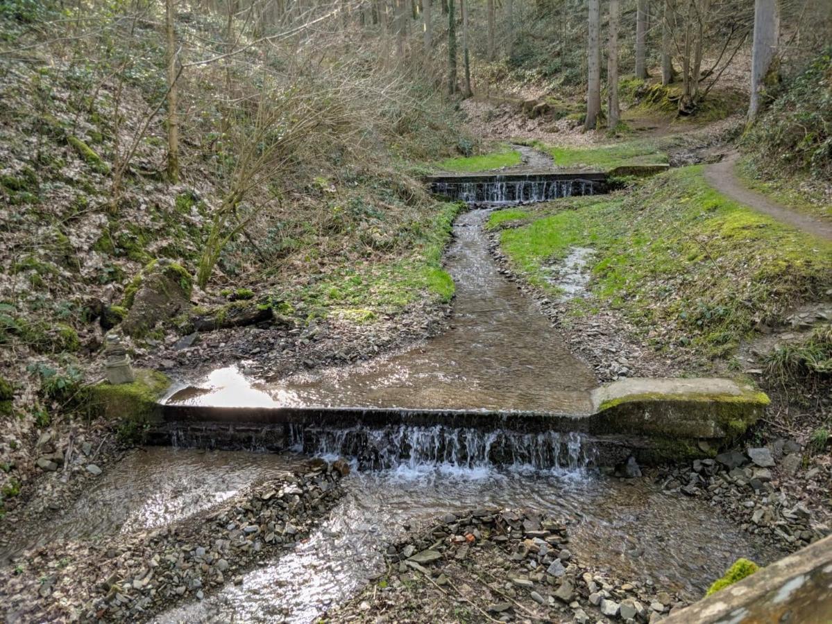 Arduena - Het Ardennetje Villa Blaimont Dış mekan fotoğraf