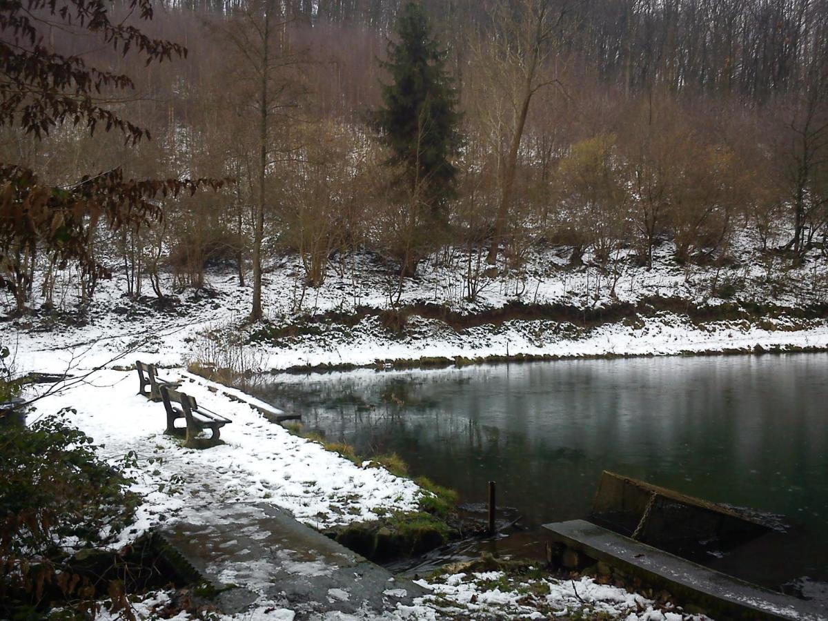 Arduena - Het Ardennetje Villa Blaimont Dış mekan fotoğraf