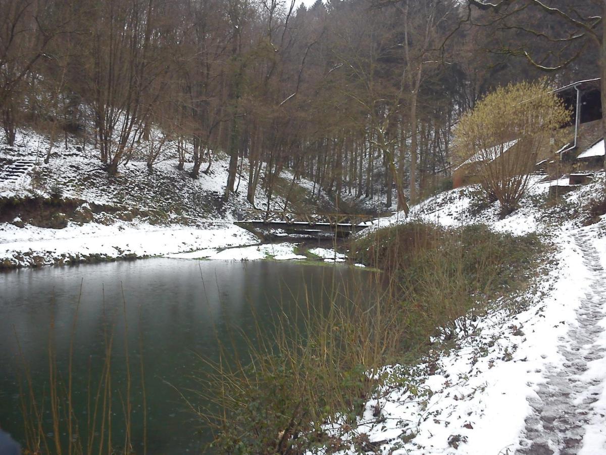 Arduena - Het Ardennetje Villa Blaimont Dış mekan fotoğraf