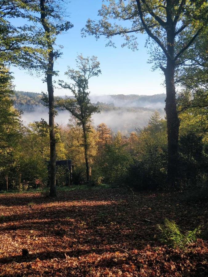 Arduena - Het Ardennetje Villa Blaimont Dış mekan fotoğraf