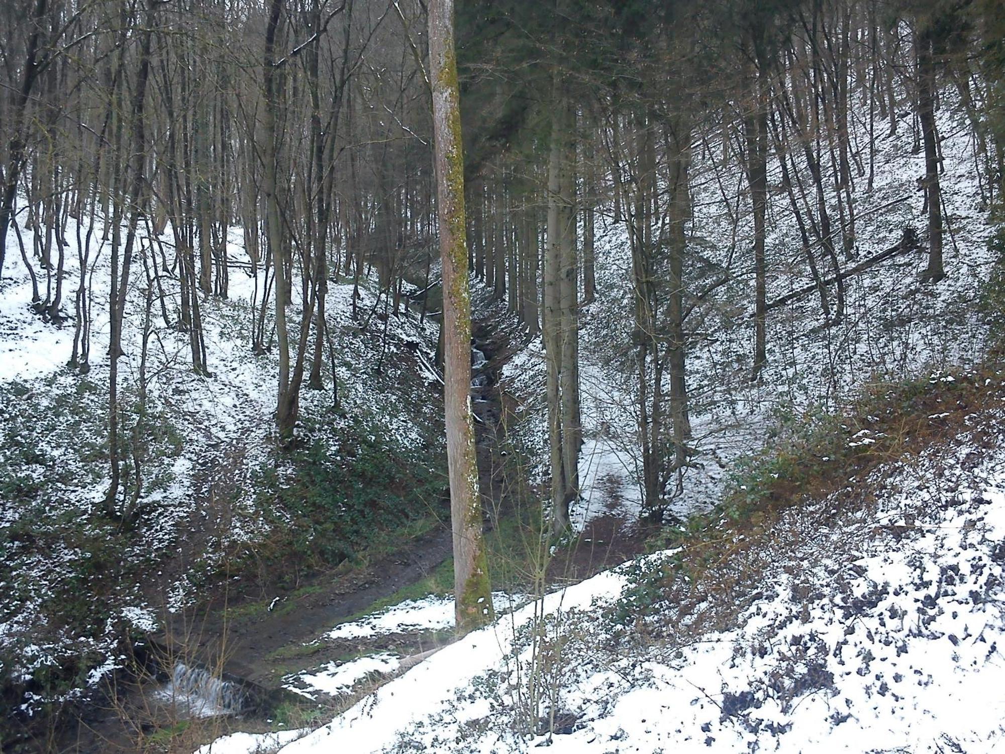 Arduena - Het Ardennetje Villa Blaimont Dış mekan fotoğraf